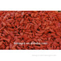 2013 nutrition & regimen dried goji berry